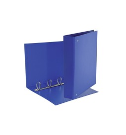 RACCOGLITORE DAILY A4 4an D.40