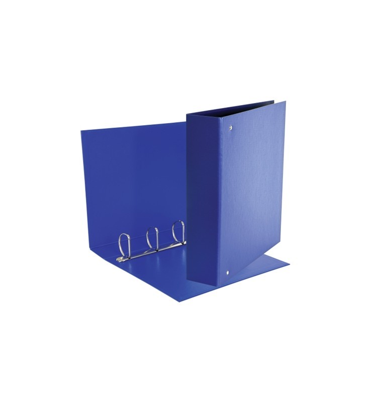 RACCOGLITORE DAILY A4 4an D.50