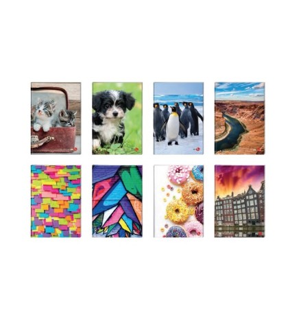 MAXI CARTONATO F.128 FANTASIA