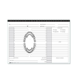 SCHEDA 24X17 DENTISTI ORIZZ P.100