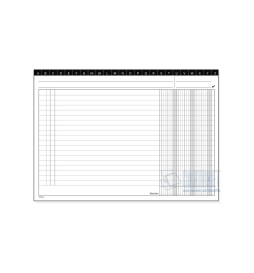 SCHEDA 24X17 3 COL.ORIZZ P.100