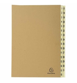 CLASSIFICATORE NUMERICO 1-31