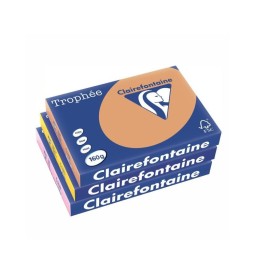 CARTONCINO COLORATO A4 TENUE 160g  250ff MONOCOLORE TROPHEE CLAIREFONT