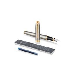 PENNA STILO IM BRUSHED METAL GT M PARKER