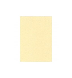 PERGAMENA NATURALE A4 G.160 F.50