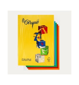 CARTONCINO COLORATO FORTE A4 160G   250F ASSORTITO LE CIRQUE FAVINI