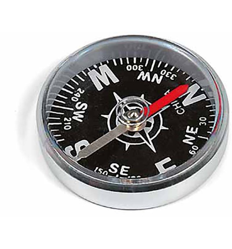 BUSSOLA SCOLASTICA 1489