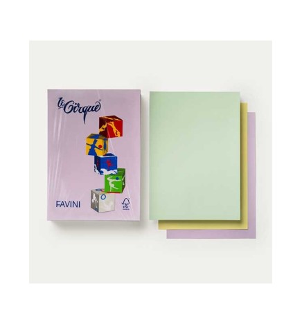CARTONCINO COLORATO TENUE A4 160G   100F ASSORTITO LE CIRQUE FAVINI