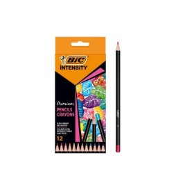 PASTELLI INTENSITY BIC 12 COLORI