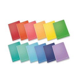 MAXI MONOCROMO g.80 F.20+1