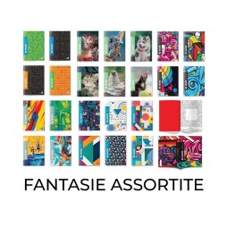 MAXI 100g 24+1 FANTASIA ALTA FOLIAZ