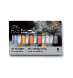 WN COTMAN - SET metal 6 tubi 8 ml  pennello da viaggio