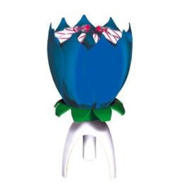 FONTANA DA INTERNO MUSICALE CE