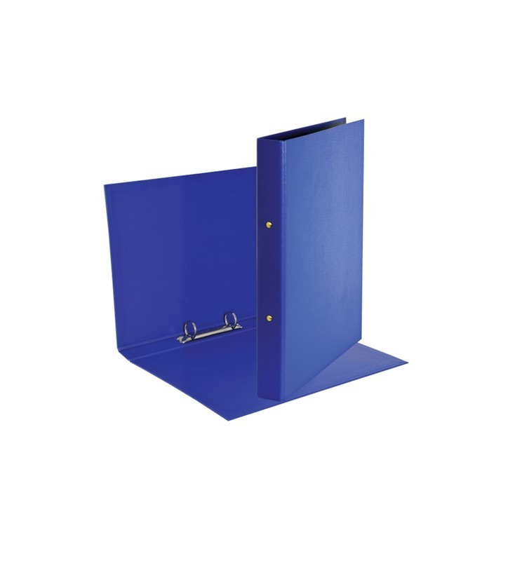 RACCOGLITORE DAILY A4 2an D.25