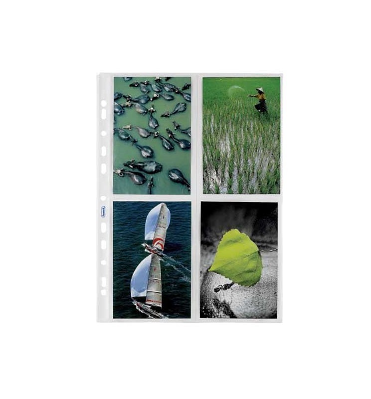 BUSTE FORATE FOTO 10X15 A4 PZ.10