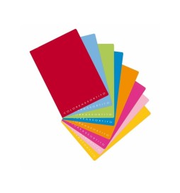 MAXI CARTONATO COLOREASSORTITO     100f