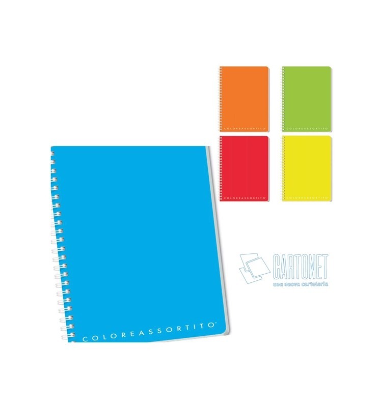 MAXI SPIRALATO PPL C/FORI 240p CXU  80g COLORXYOU TOP QUALITY